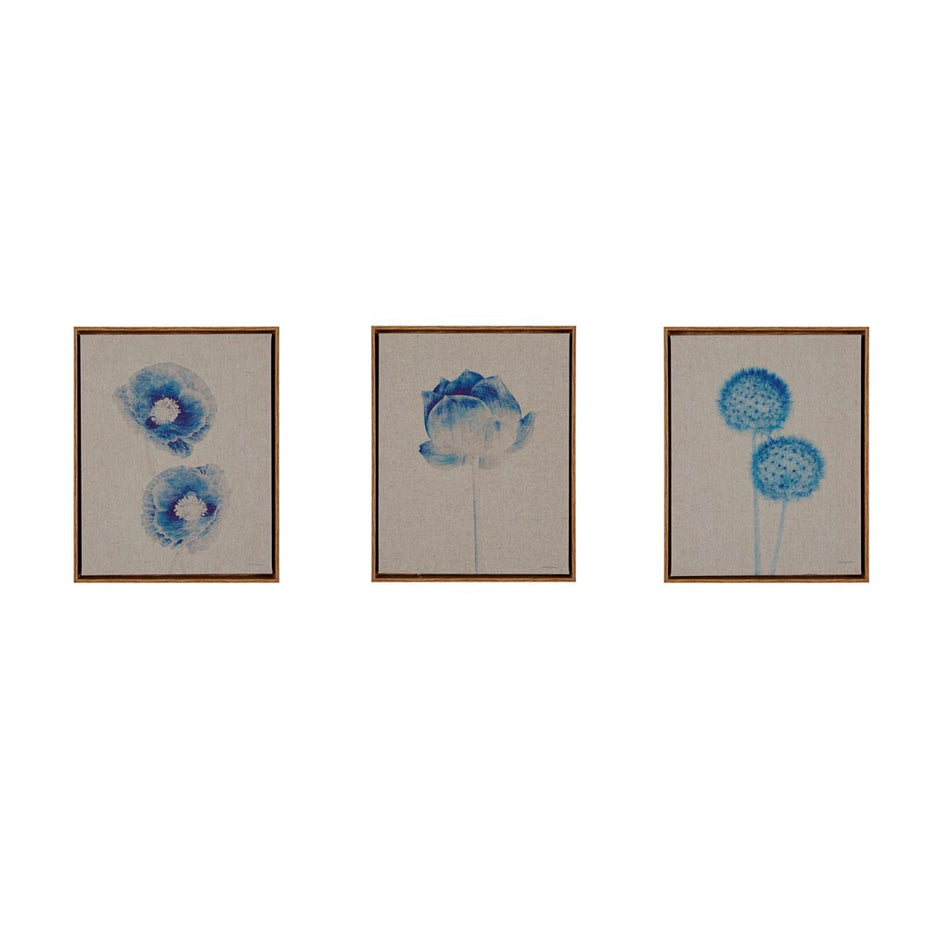 Blue Print Botanicals Framed 3 Piece Printed Canvas On Linen - Blue