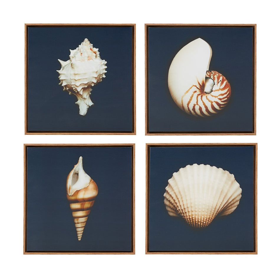 Ocean Seashells Framed Canvas 4 Piece Set - Blue