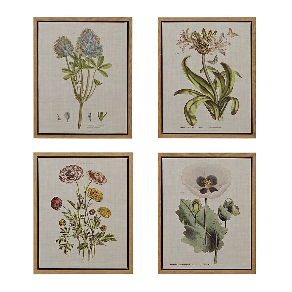 Herbal Botany Framed Linen Canvas 4 Piece Set - Green