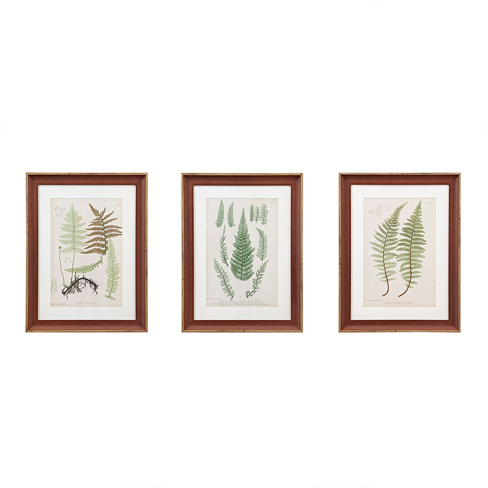 Lady Fern Collection Single Mat Framed Graphic 3 Piece Set - Green