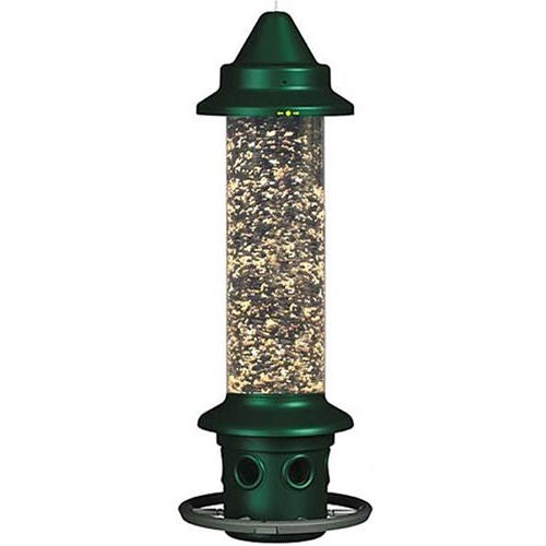 Squirrel-proof Bird Feeder with Perch Ring