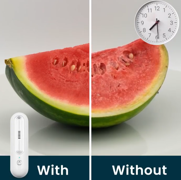 Ozoori Fridge Deodoriser A Clean Fridge with Zero Effort